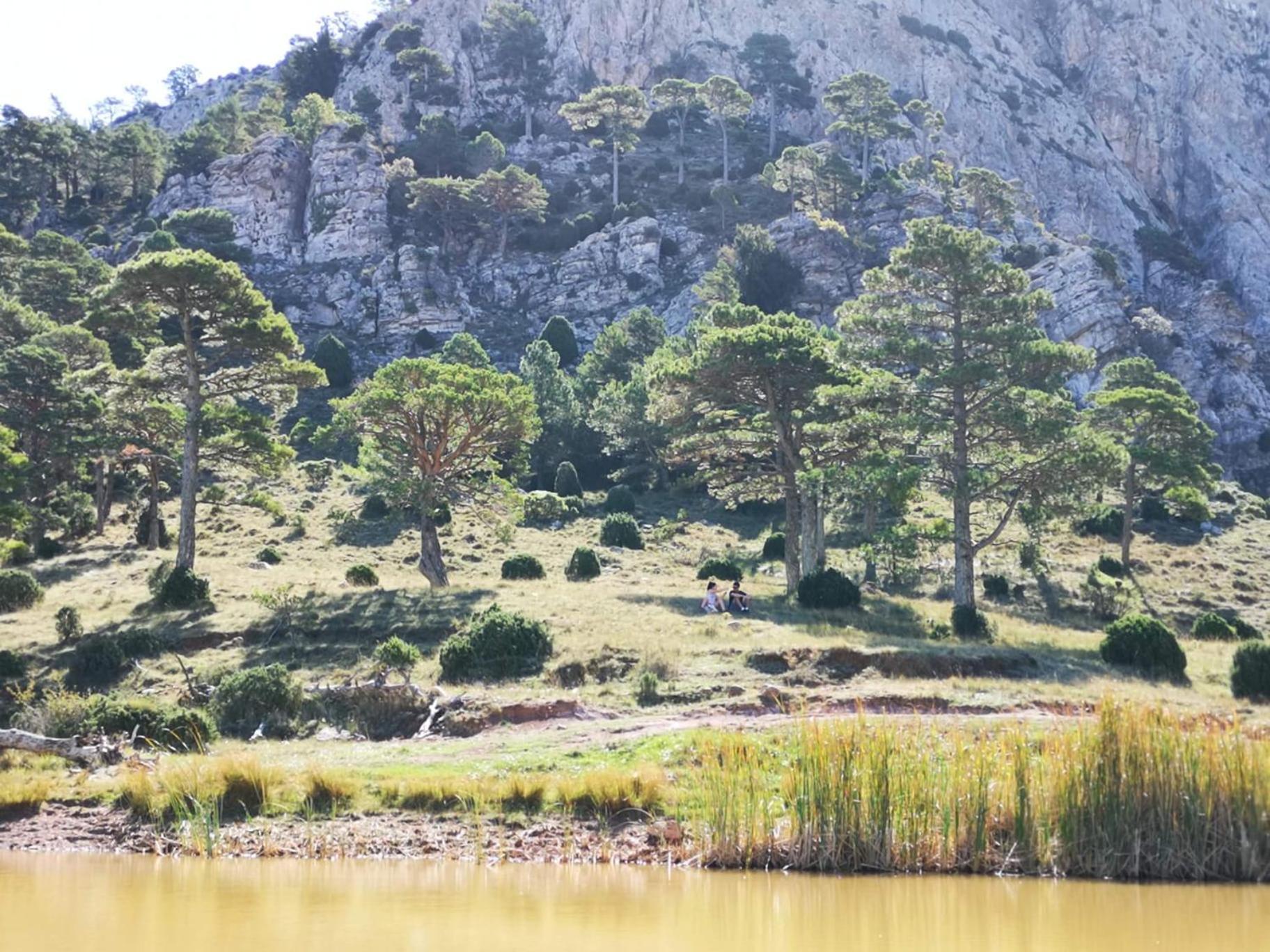 L'Antic Forn De Pauels Villa Bagian luar foto