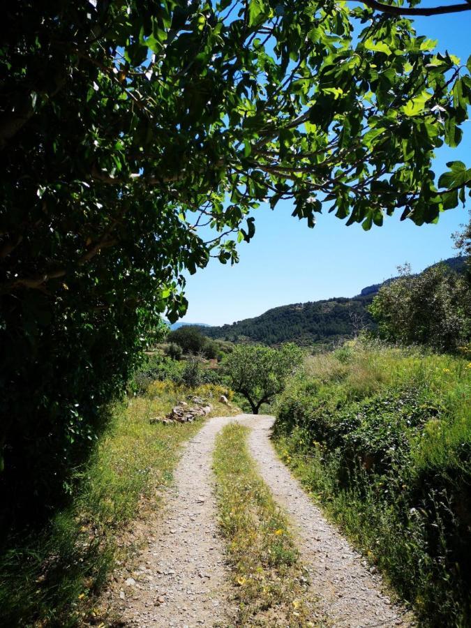 L'Antic Forn De Pauels Villa Bagian luar foto