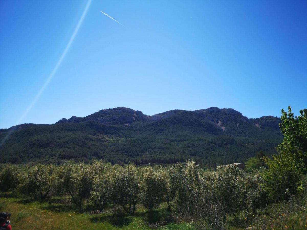 L'Antic Forn De Pauels Villa Bagian luar foto