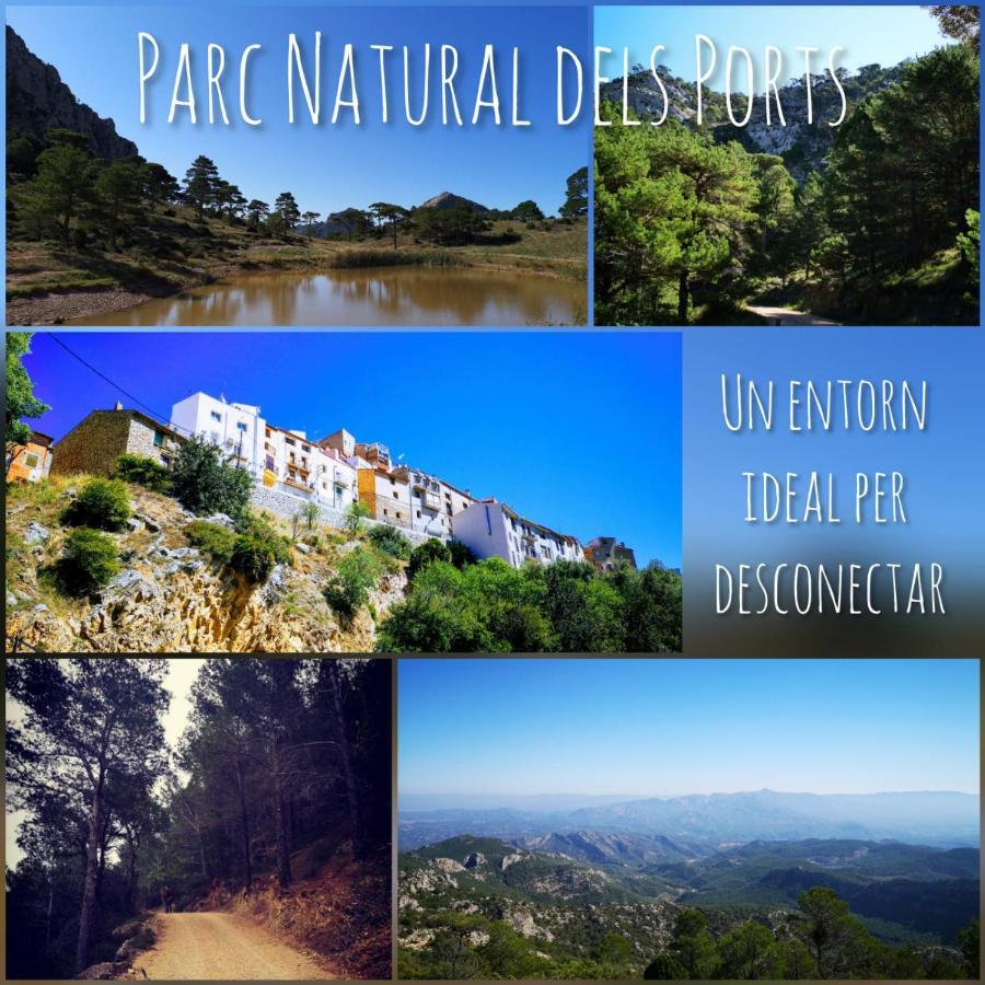 L'Antic Forn De Pauels Villa Bagian luar foto